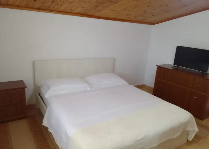 Akid&alan * 地拉那